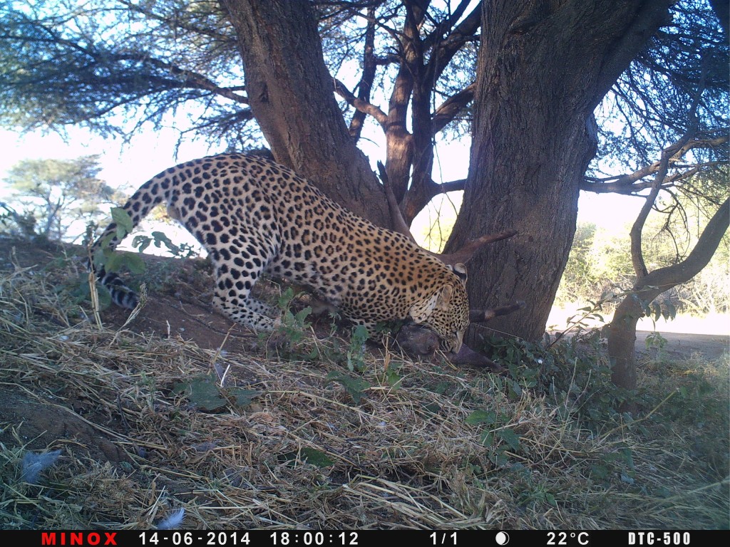 P059-375-256-357-11060