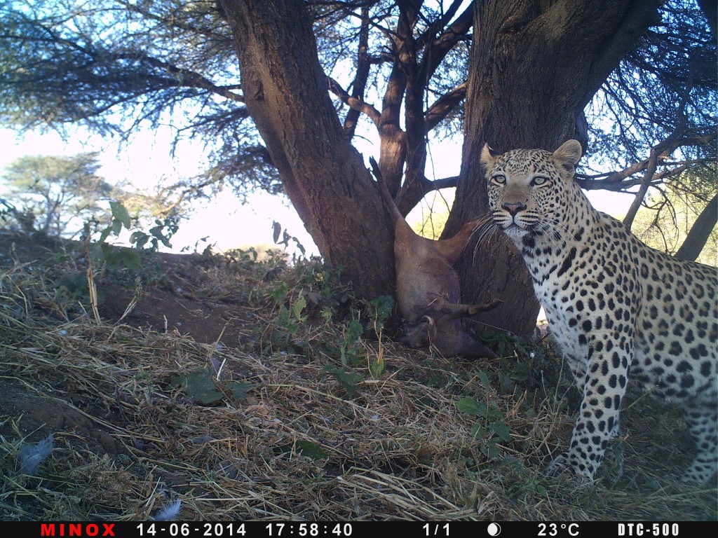 P059-380-256-349-10062